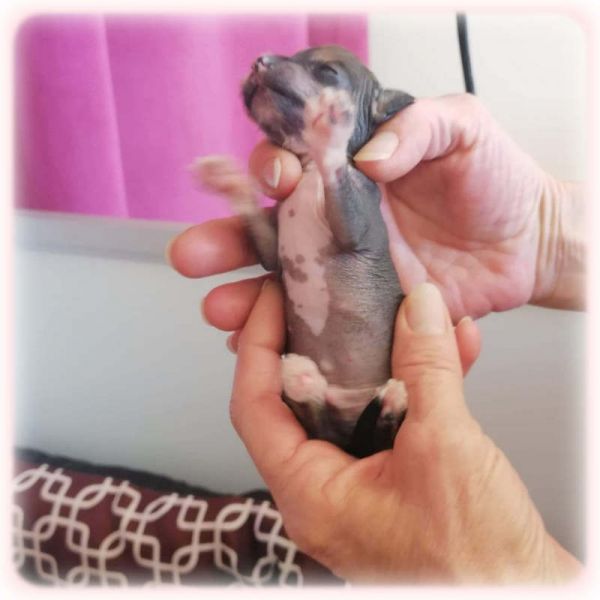 03 MALE NU 03 MALE NU